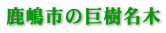 s̋
